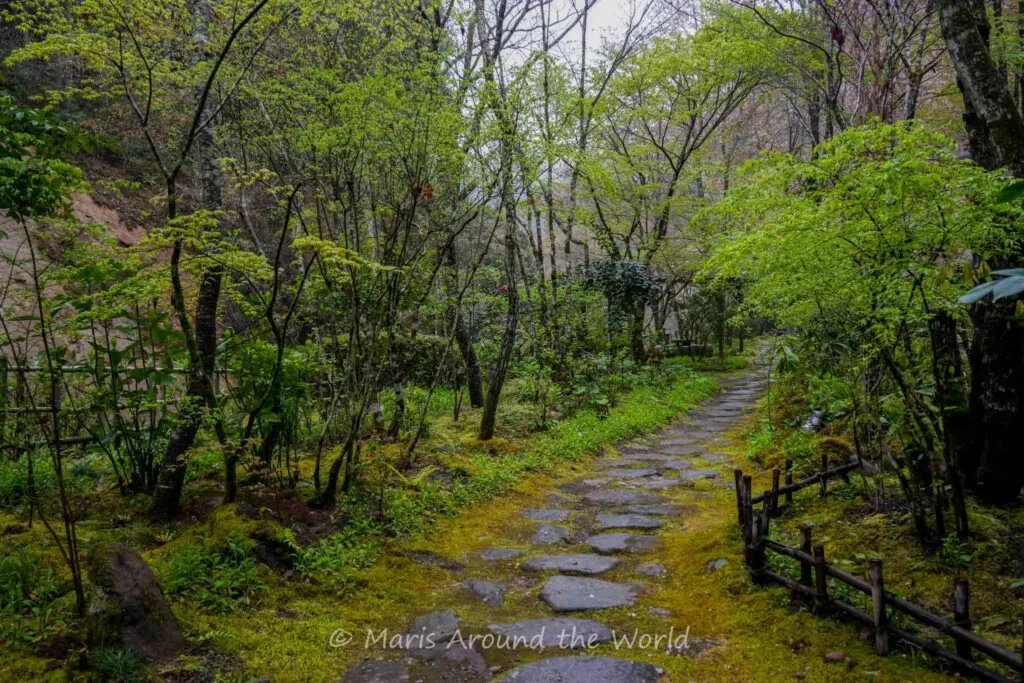🏞️ 쿠로카와 동굴 (쿠로카와 도케츠) 이미지 7